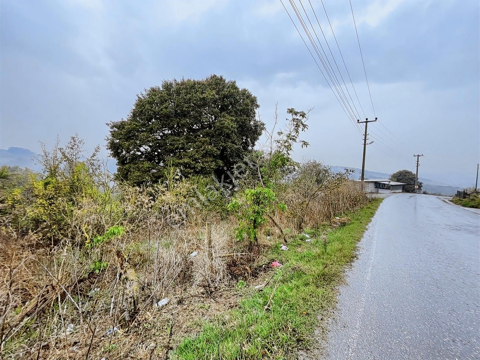 Uzunalan'da %40 İmarlı Asfalta Cephe Fırsat Arsa - Görsel 25