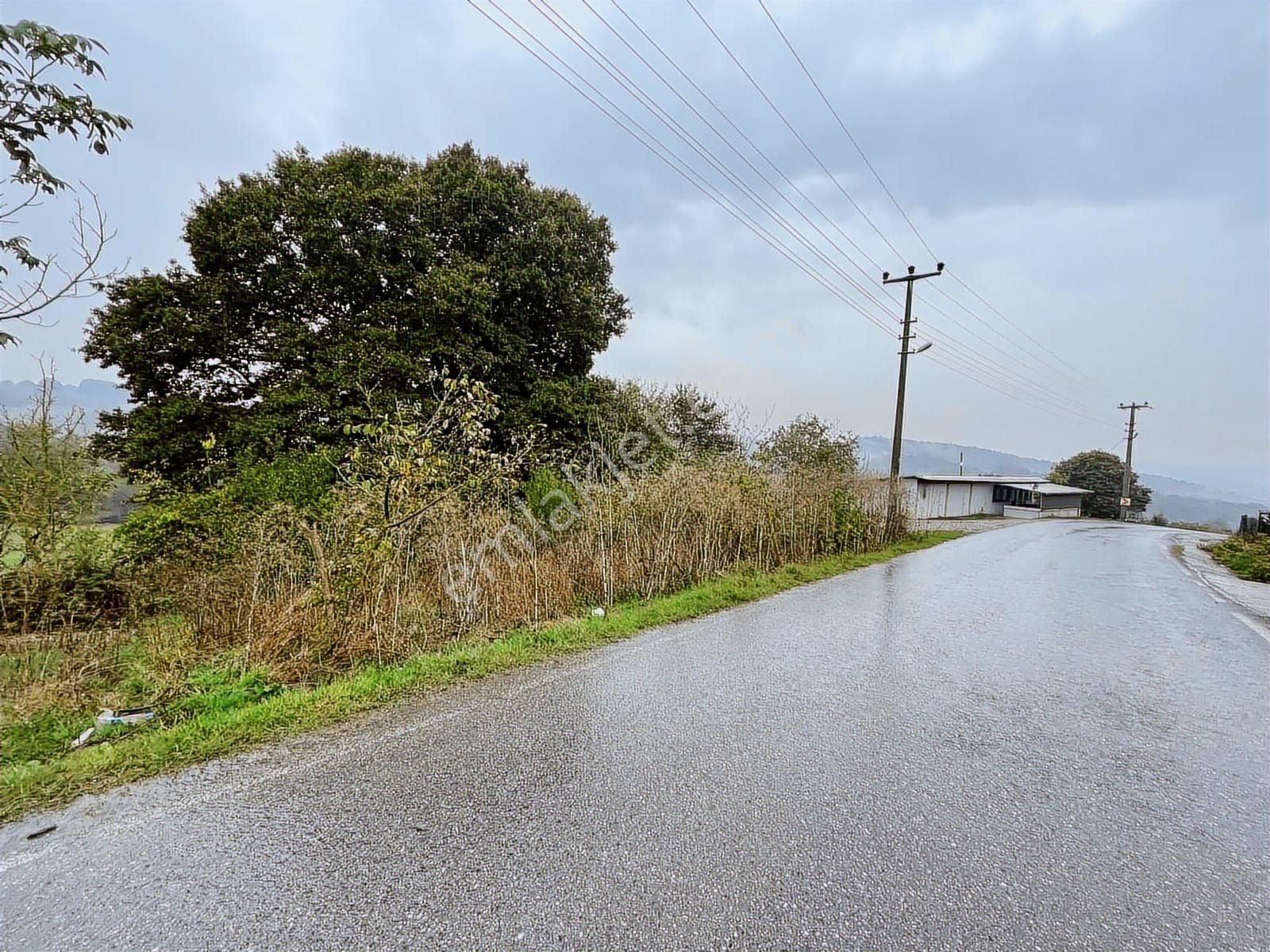 Uzunalan'da %40 İmarlı Asfalta Cephe Fırsat Arsa - Görsel 13