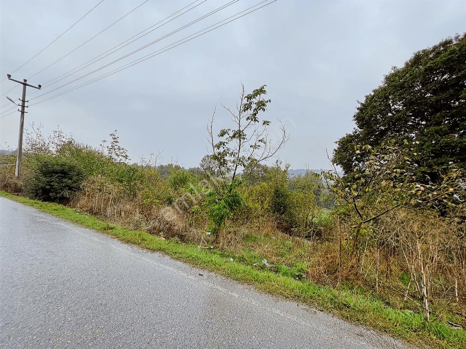 Uzunalan'da %40 İmarlı Asfalta Cephe Fırsat Arsa - Görsel 3