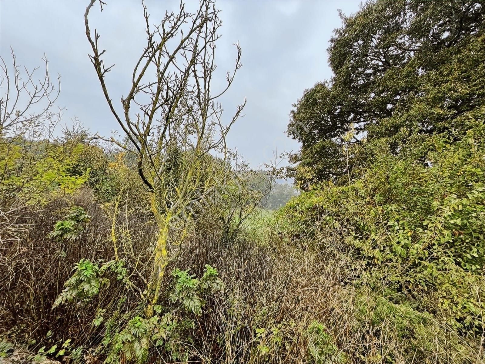 Uzunalan'da %40 İmarlı Asfalta Cephe Fırsat Arsa - Görsel 24