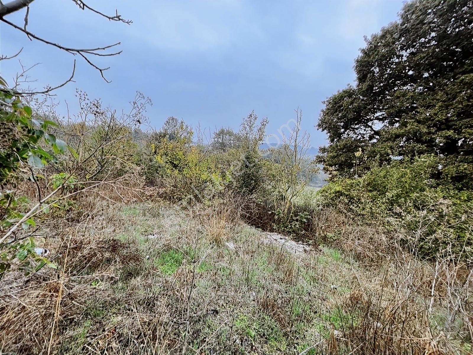 Uzunalan'da %40 İmarlı Asfalta Cephe Fırsat Arsa - Görsel 4