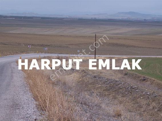 Keloğlan Mevkisinde 8.304m2 Müstakil Tek Tapulu Tarla - Görsel 2