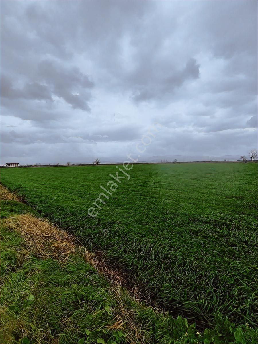 Bayındır Çırpıdada 10.200 M² Verimli, Yatırıma Uygun Tarla - Görsel 21