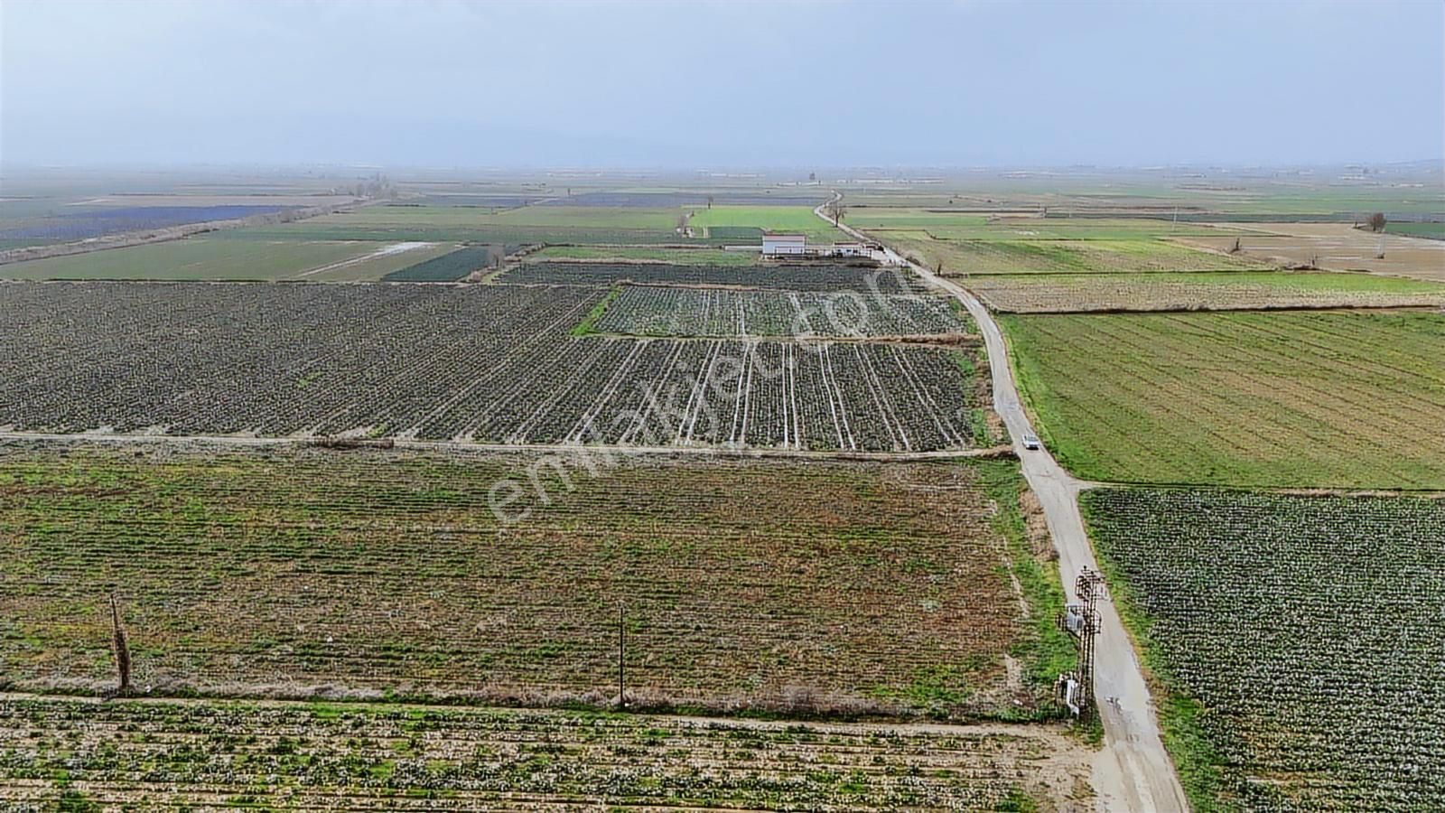 Bayındır Çırpıdada 10.200 M² Verimli, Yatırıma Uygun Tarla - Görsel 5