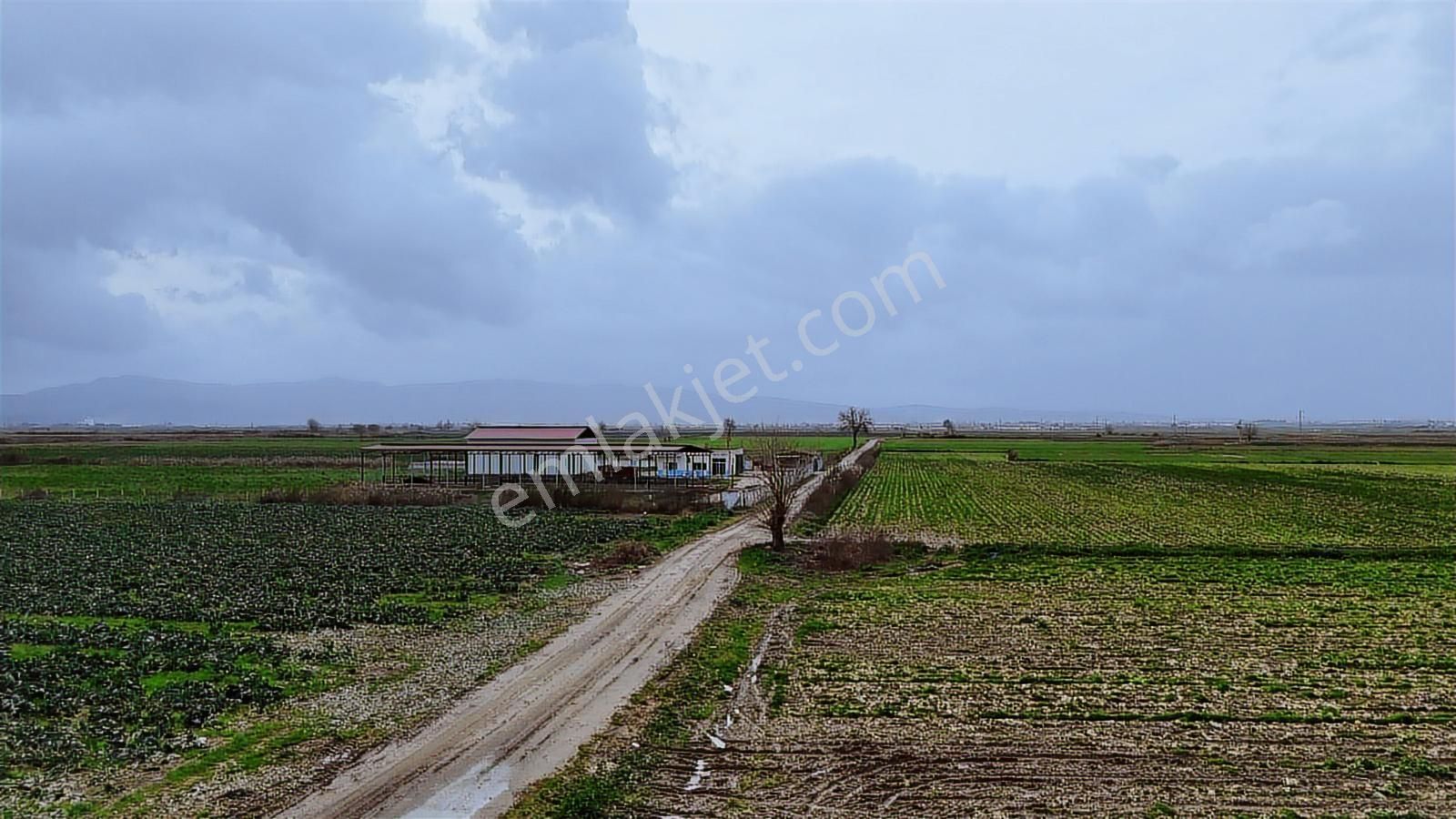 Bayındır Çırpıdada 10.200 M² Verimli, Yatırıma Uygun Tarla - Görsel 13