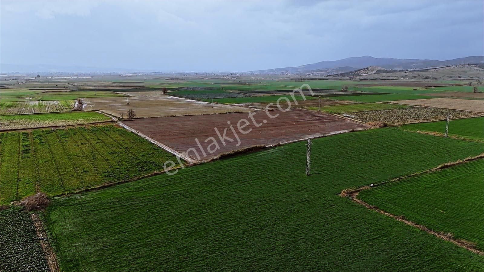 Bayındır Çırpıdada 10.200 M² Verimli, Yatırıma Uygun Tarla - Görsel 12