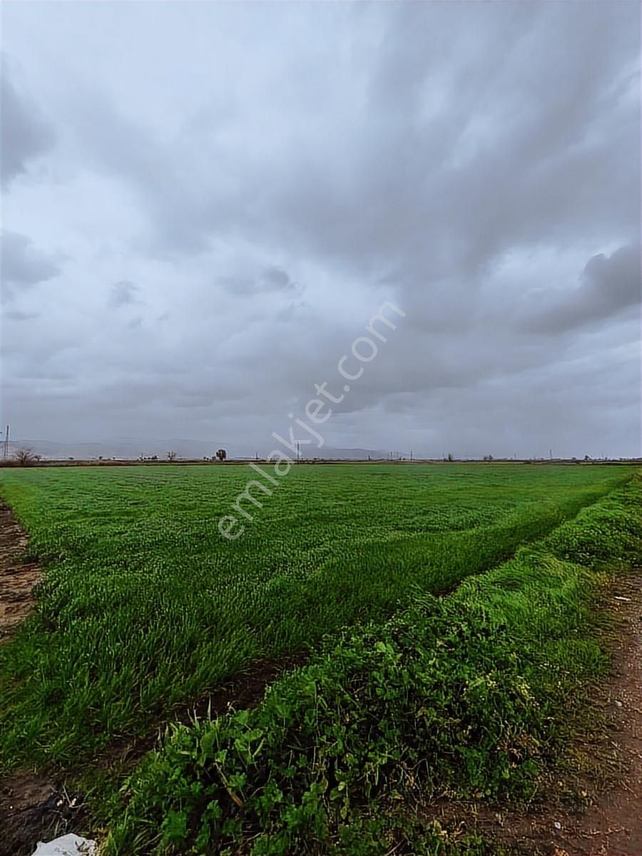 Bayındır Çırpıdada 10.200 M² Verimli, Yatırıma Uygun Tarla - Görsel 8