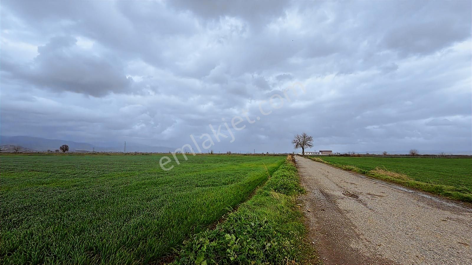 Bayındır Çırpıdada 10.200 M² Verimli, Yatırıma Uygun Tarla - Görsel 25