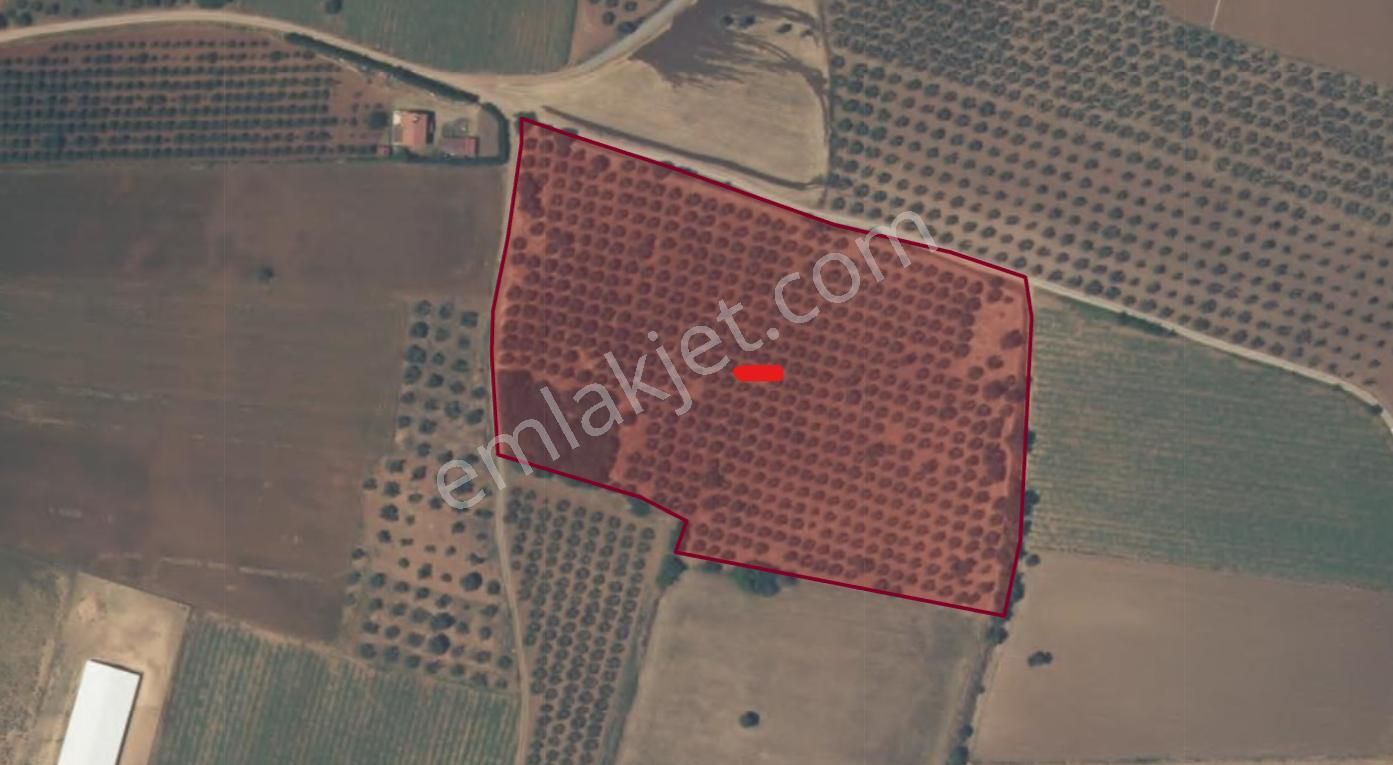 Karacabey Dağkadı Mahallesinde 24,600 M2 Satılık Arazi - Görsel 4