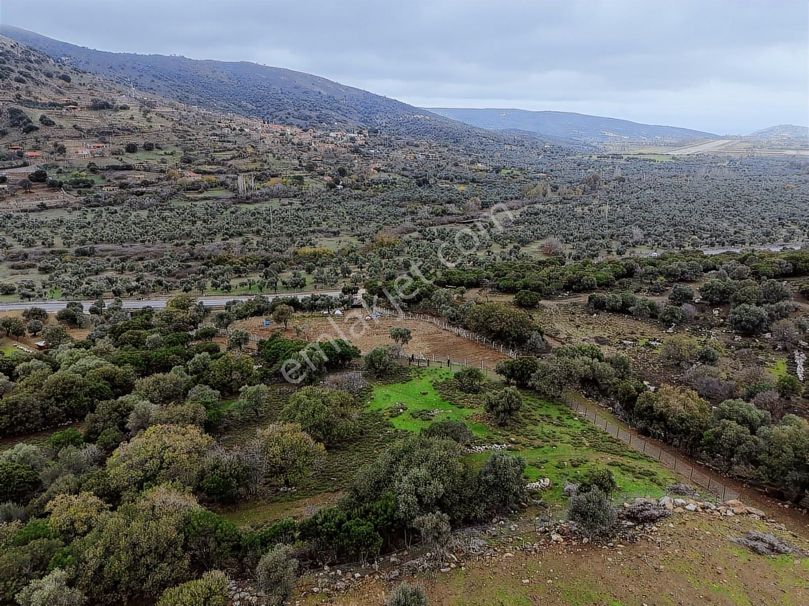 Eşsiz Doğasıyla Zeytinli Köyünde Satılık Zeytinlik - Görsel 19