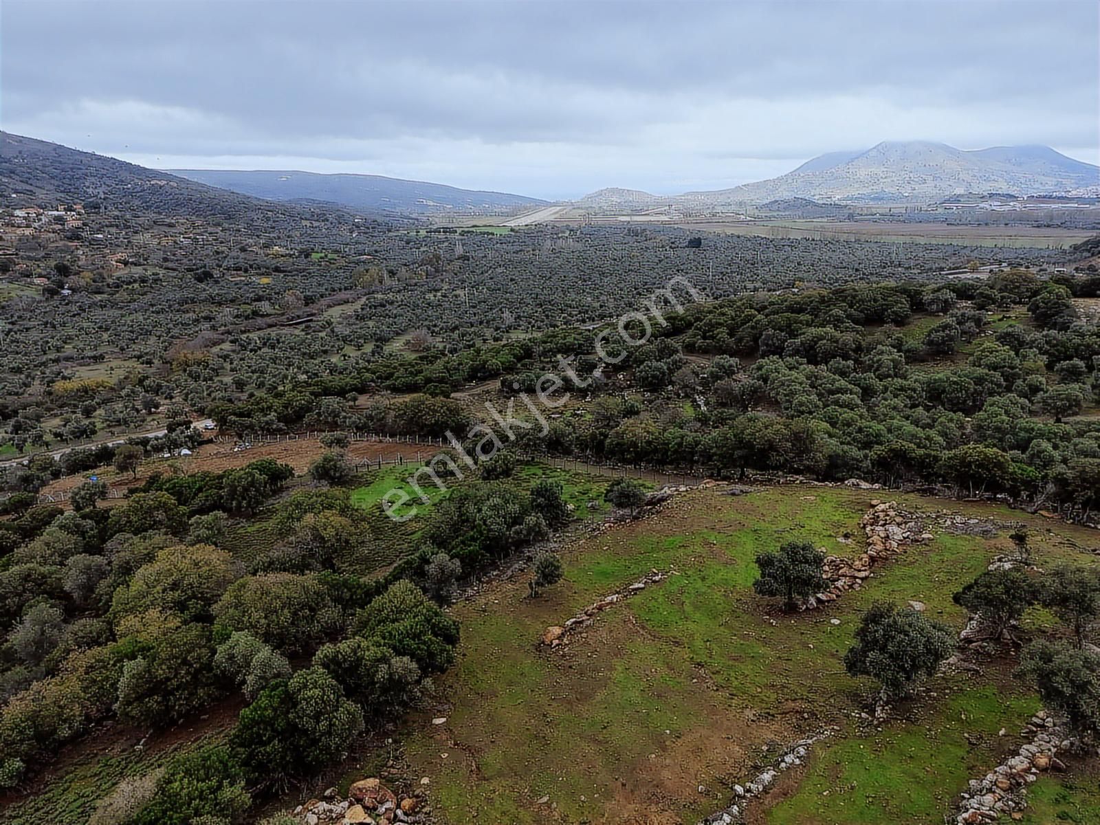 Eşsiz Doğasıyla Zeytinli Köyünde Satılık Zeytinlik - Görsel 10