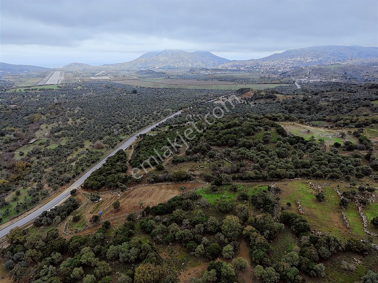 Eşsiz Doğasıyla Zeytinli Köyünde Satılık Zeytinlik - Görsel 27