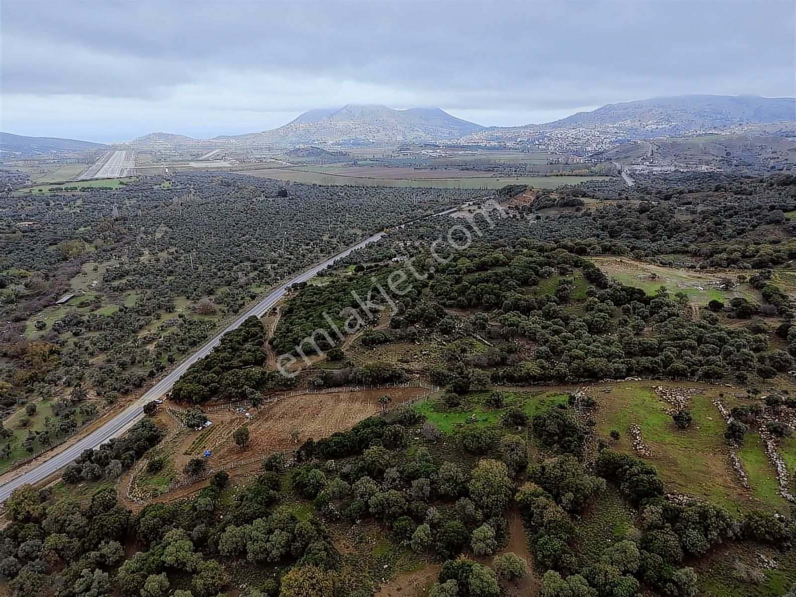 Eşsiz Doğasıyla Zeytinli Köyünde Satılık Zeytinlik - Görsel 4