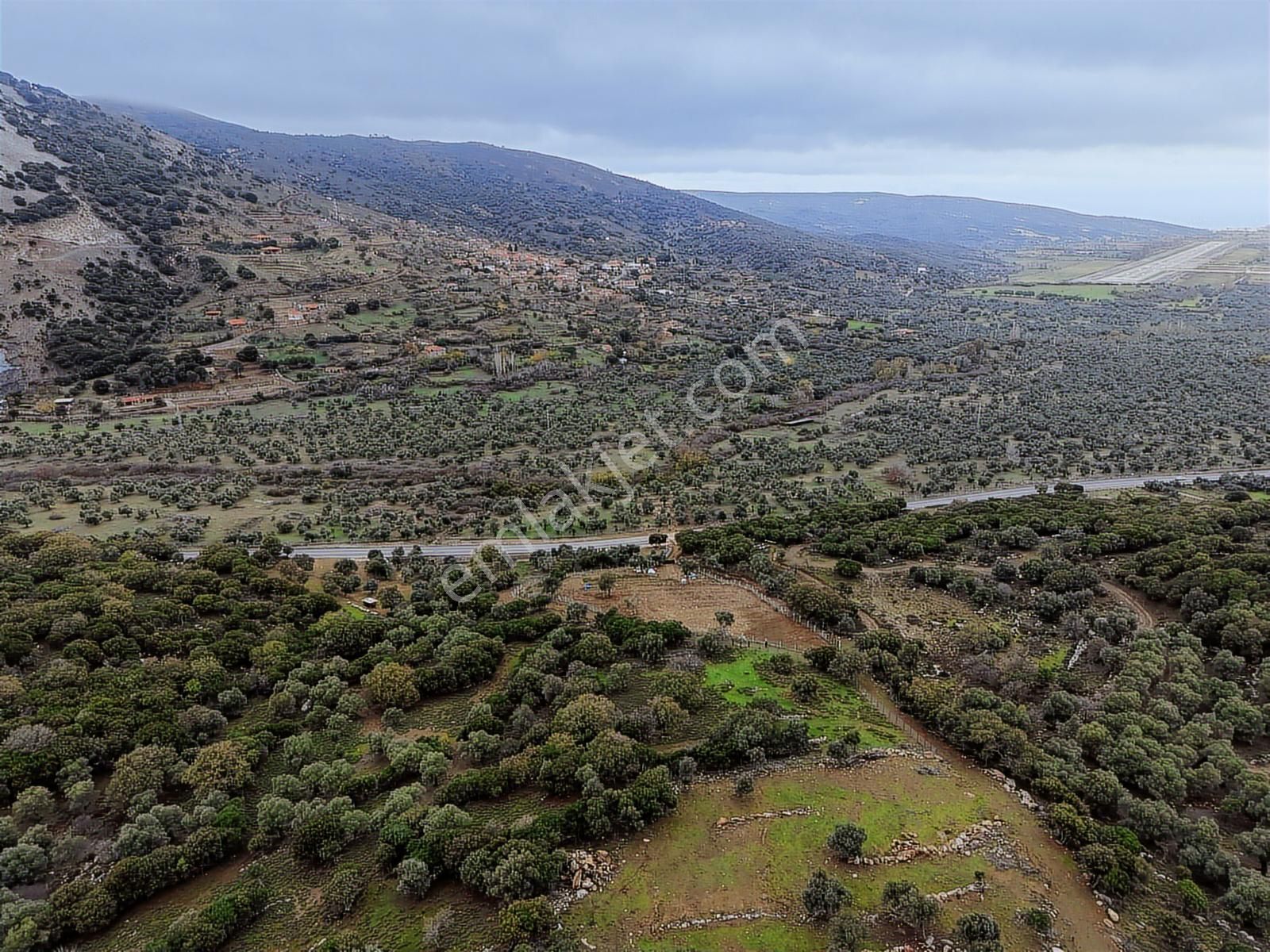 Eşsiz Doğasıyla Zeytinli Köyünde Satılık Zeytinlik - Görsel 23