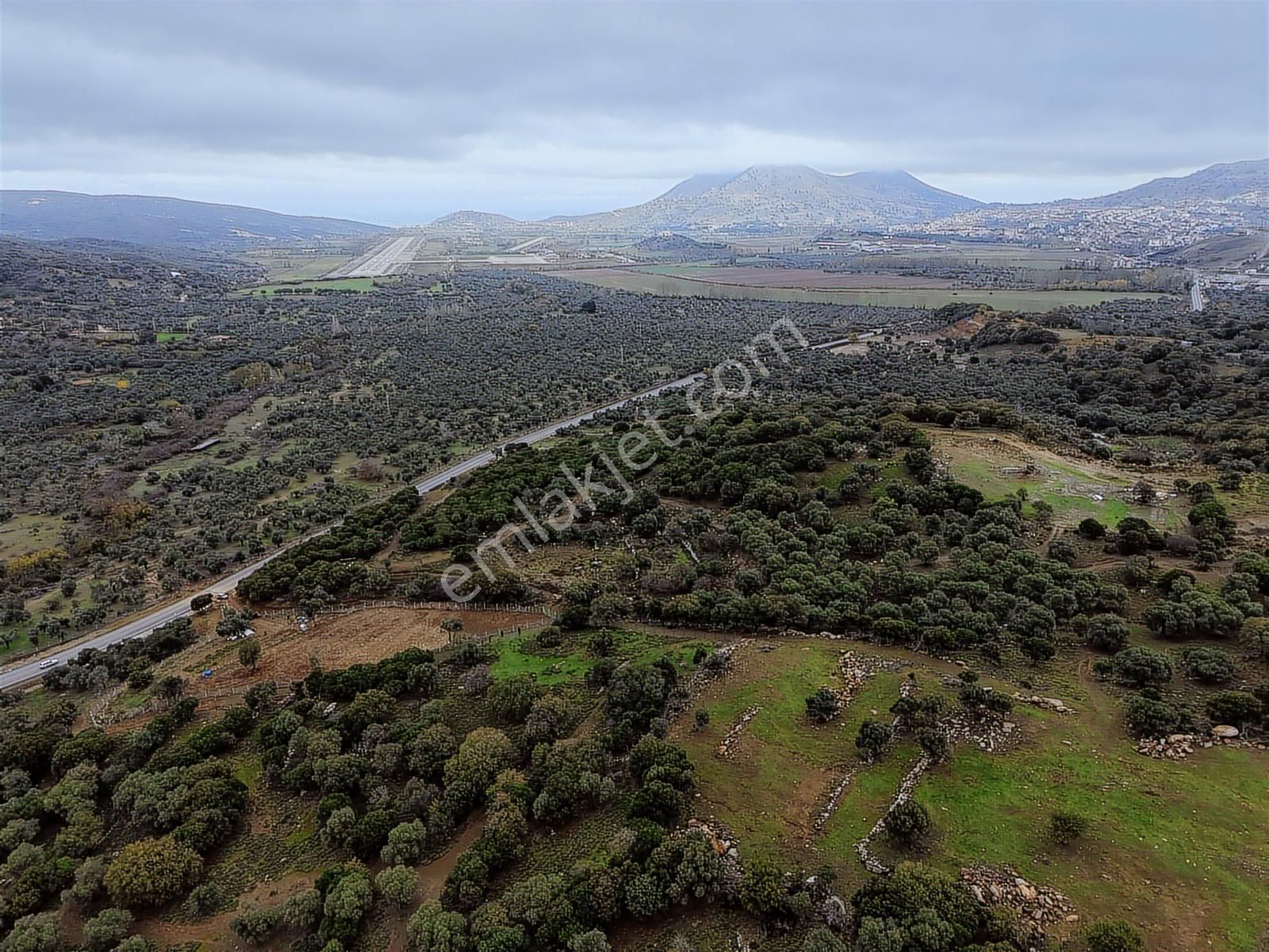 Eşsiz Doğasıyla Zeytinli Köyünde Satılık Zeytinlik - Görsel 22