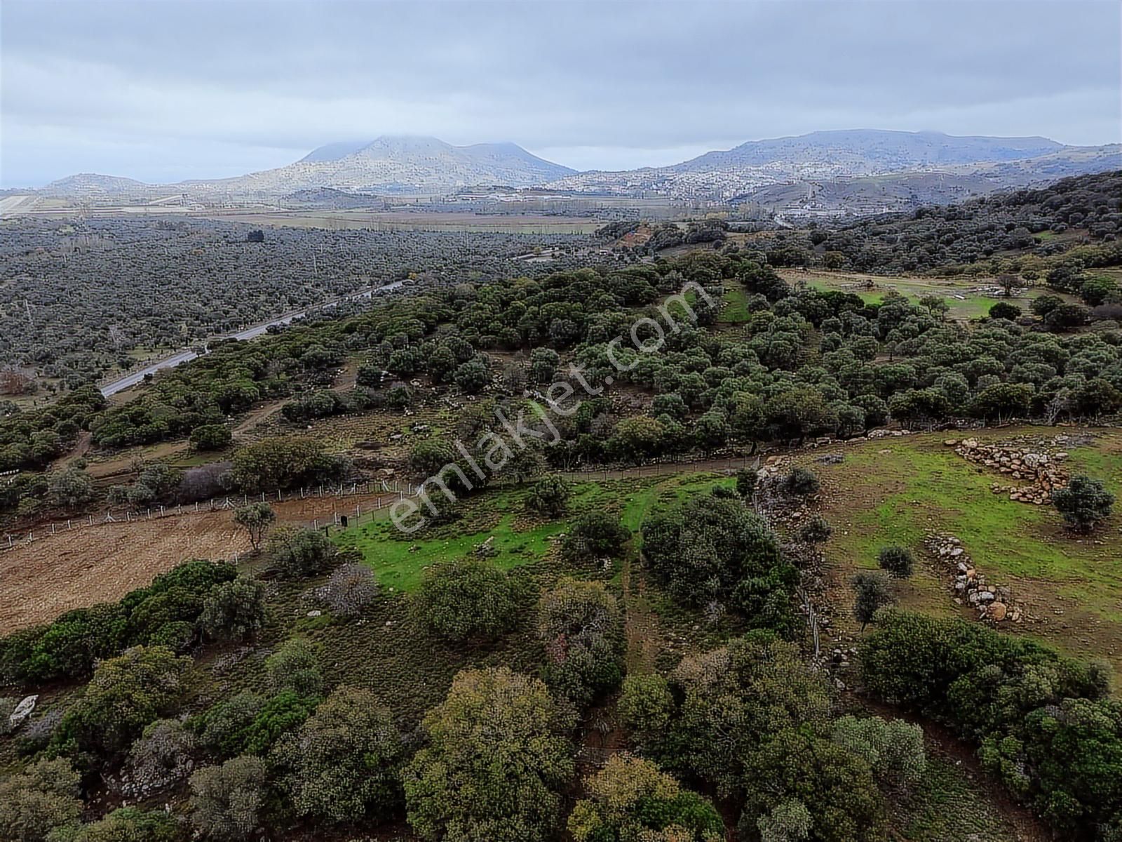 Eşsiz Doğasıyla Zeytinli Köyünde Satılık Zeytinlik - Görsel 20