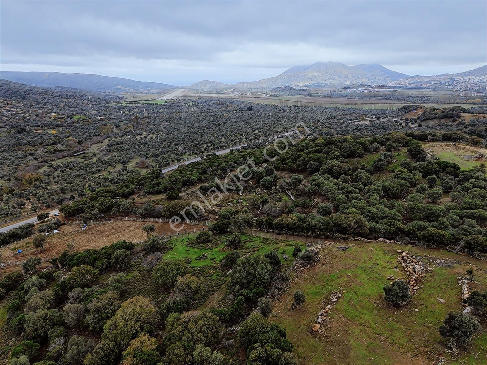 Eşsiz Doğasıyla Zeytinli Köyünde Satılık Zeytinlik - Görsel 26