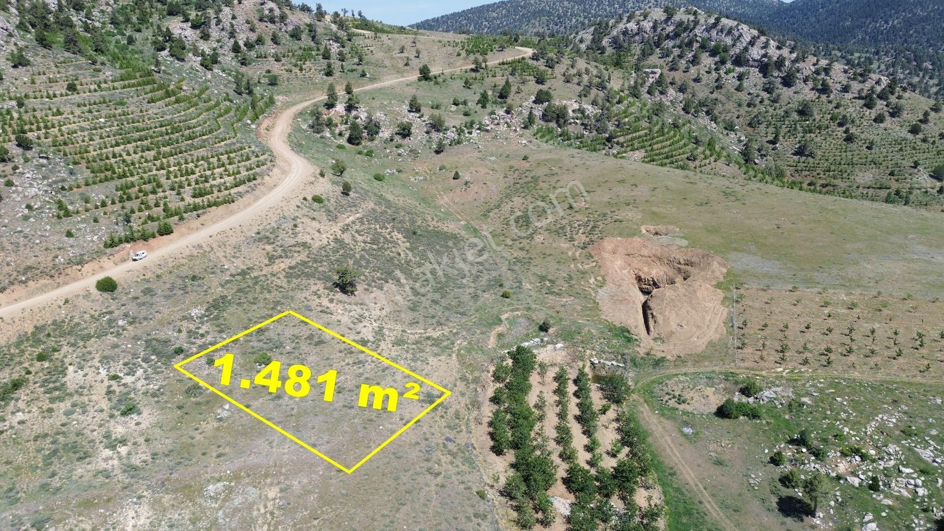 Konya / Hadim / Dülgerler Mahallesinde 1.481 M² Müstakil Tapulu Tarla - Görsel 2