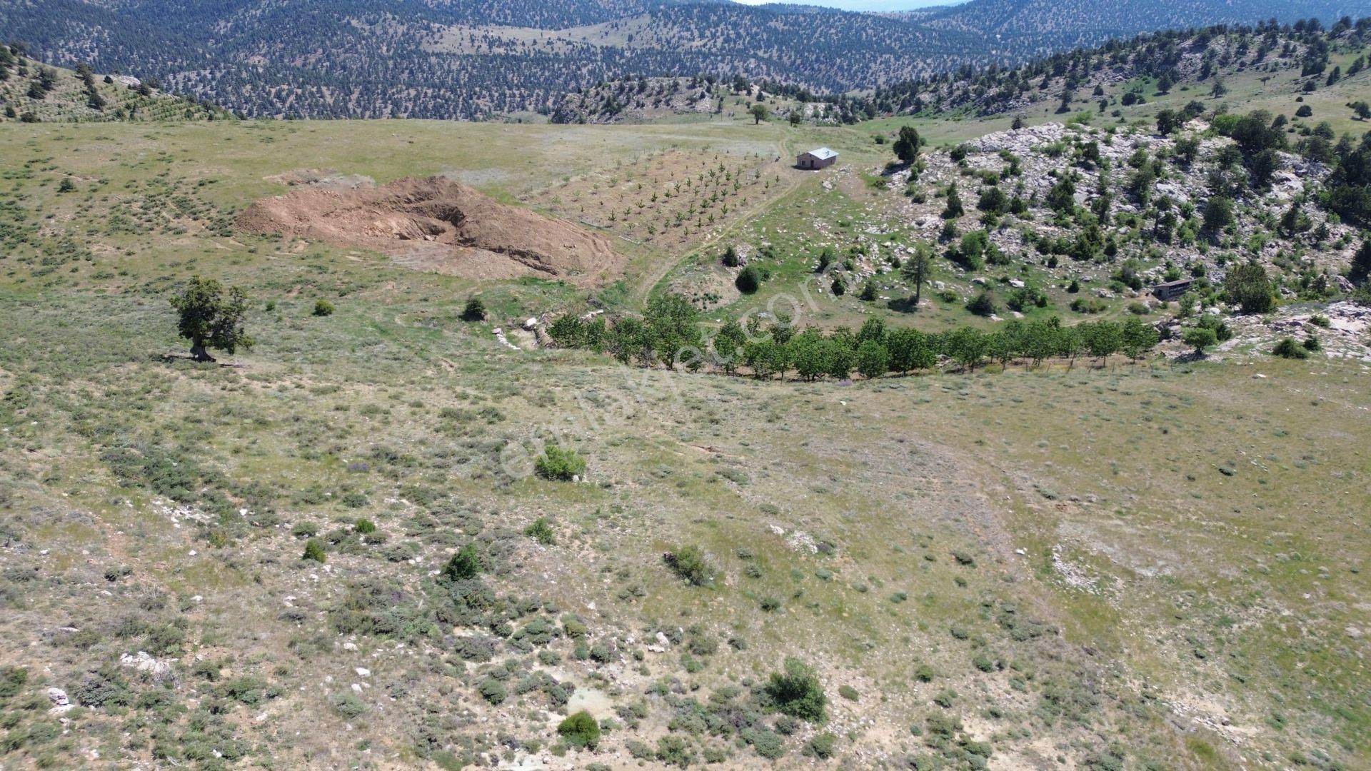 Konya / Hadim / Dülgerler Mahallesinde 1.481 M² Müstakil Tapulu Tarla - Görsel 9