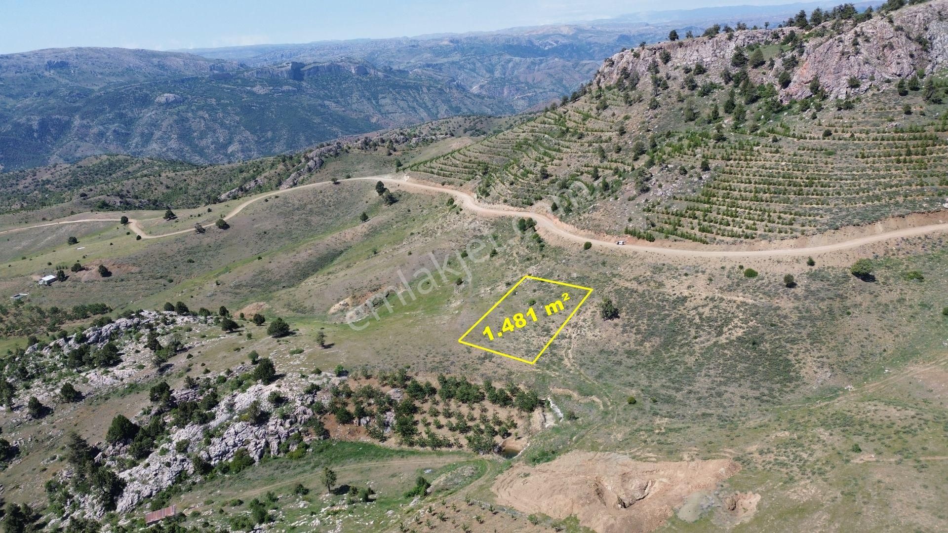 Konya / Hadim / Dülgerler Mahallesinde 1.481 M² Müstakil Tapulu Tarla - Görsel 6