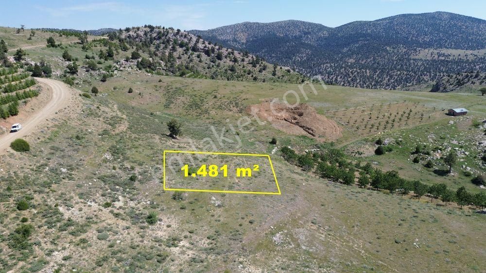 Konya / Hadim / Dülgerler Mahallesinde 1.481 M² Müstakil Tapulu Tarla - Görsel 4
