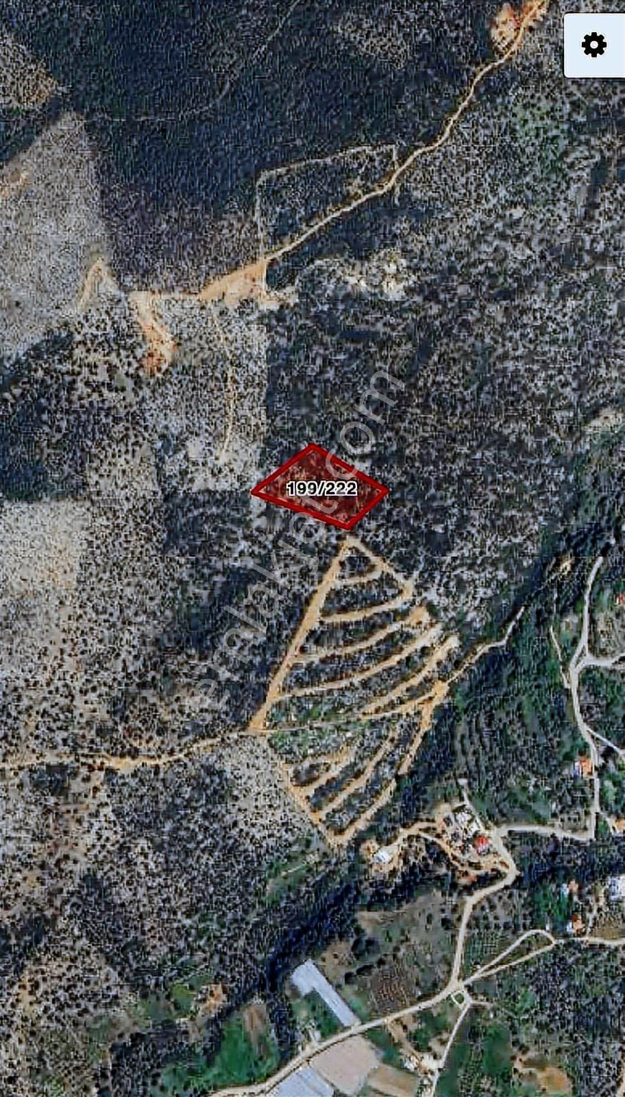 Kaş Üzümlü Mahallesi Terlik Mevkii 7.847 M² Zeytinlik Satılık - Görsel 2