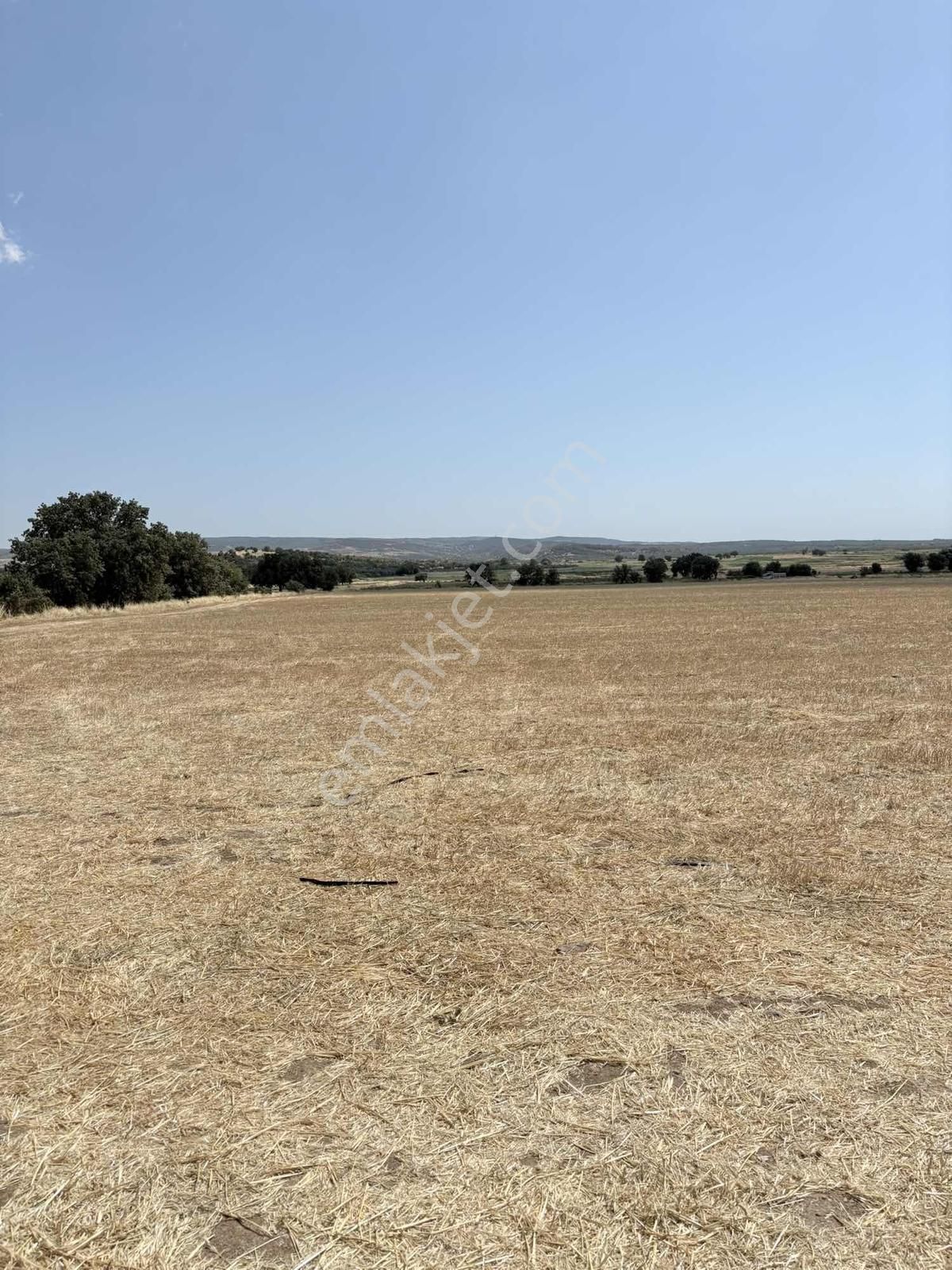 Ayvacık Kösedere Köyünde Denize 1km Satılık Tarla - Görsel 6