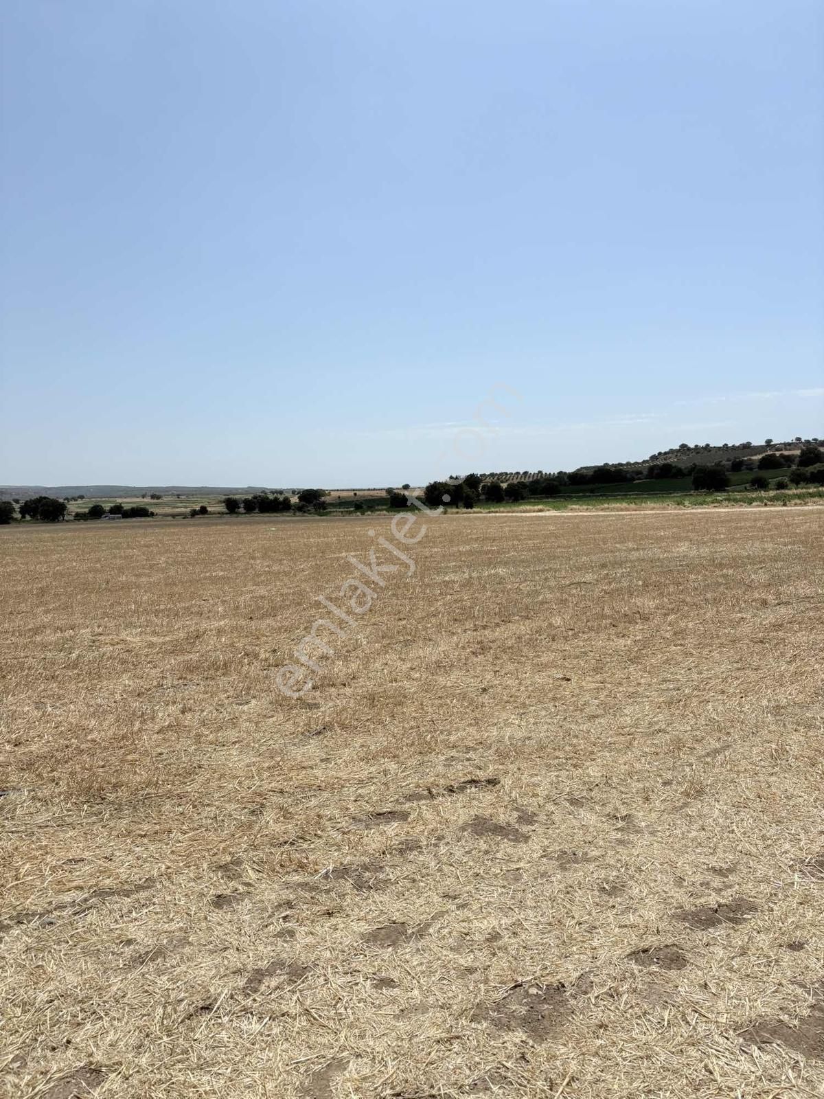 Ayvacık Kösedere Köyünde Denize 1km Satılık Tarla - Görsel 5