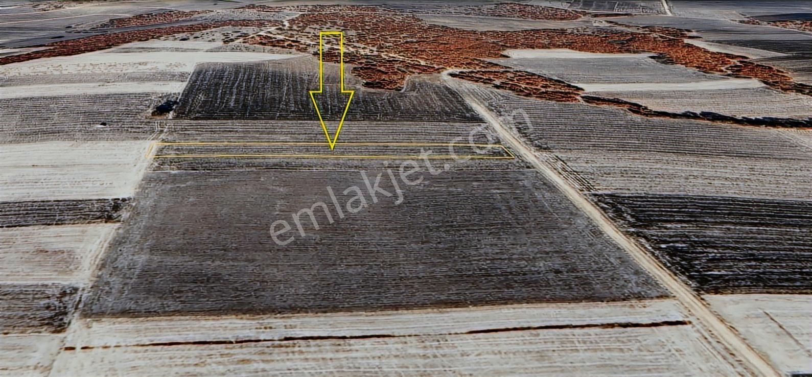 Edirne Meriç Olacak'ta Fırsat Araç Takaslı Tarla - Görsel 16