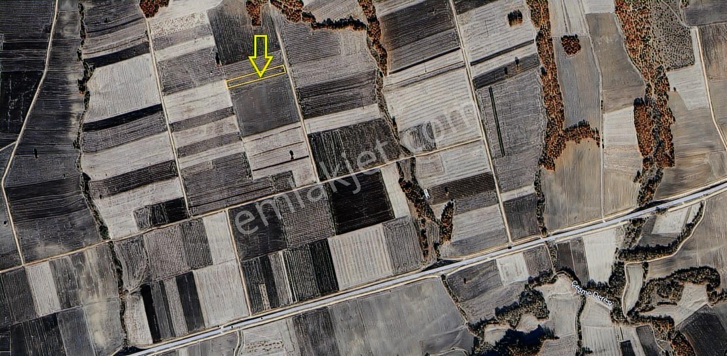 Edirne Meriç Olacak'ta Fırsat Araç Takaslı Tarla - Görsel 5