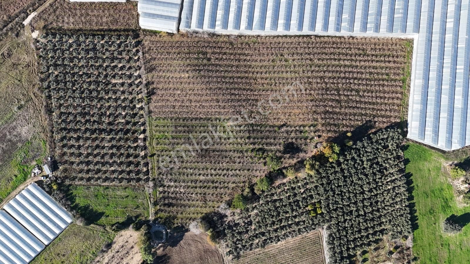 Üründü Mahallesinde Satılık 18.000 M² Tarla - Görsel 2