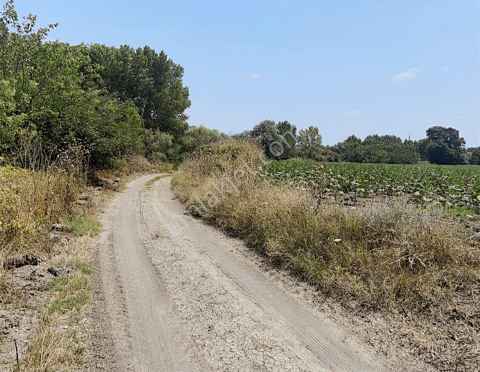 Tekirdağ Malkara Kiremitlik Köyün İçinde Satılık Arsa - Görsel 21