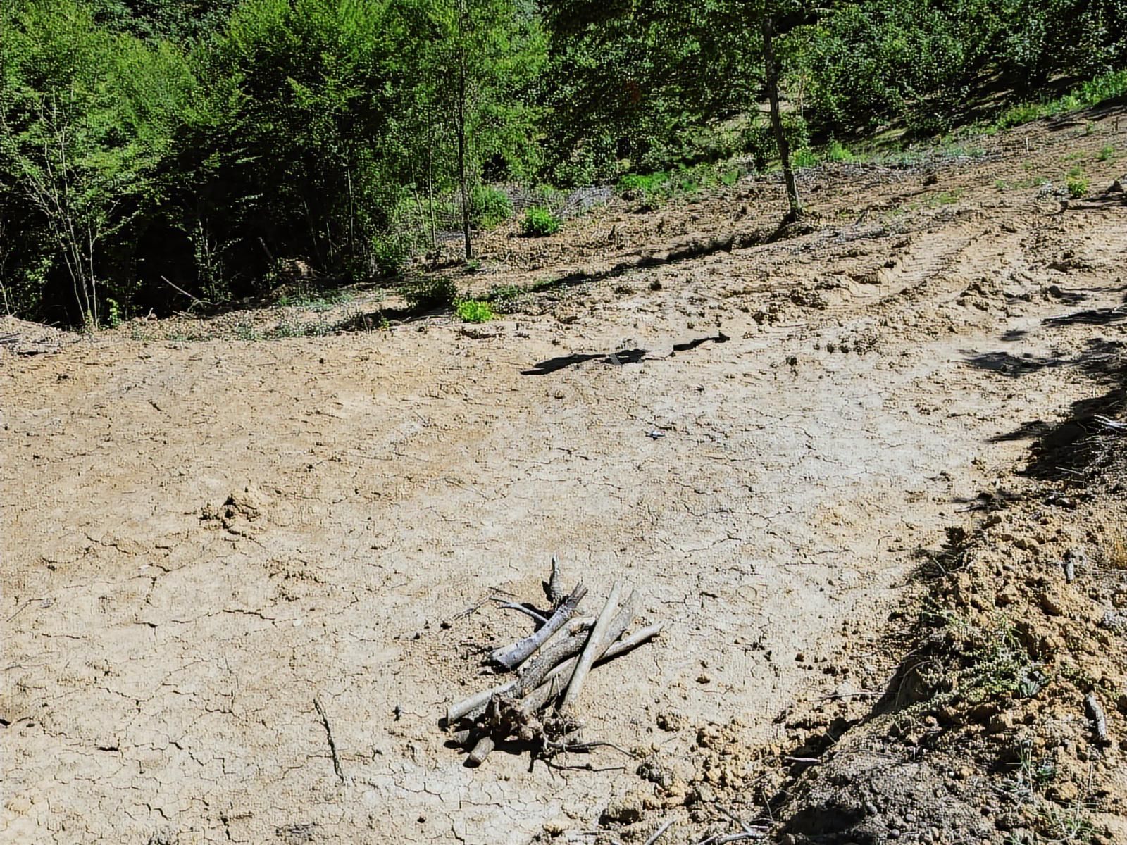 İnnova'dan Kocaeli Topluca'da Satılık Fındık Bahçesi - Görsel 22
