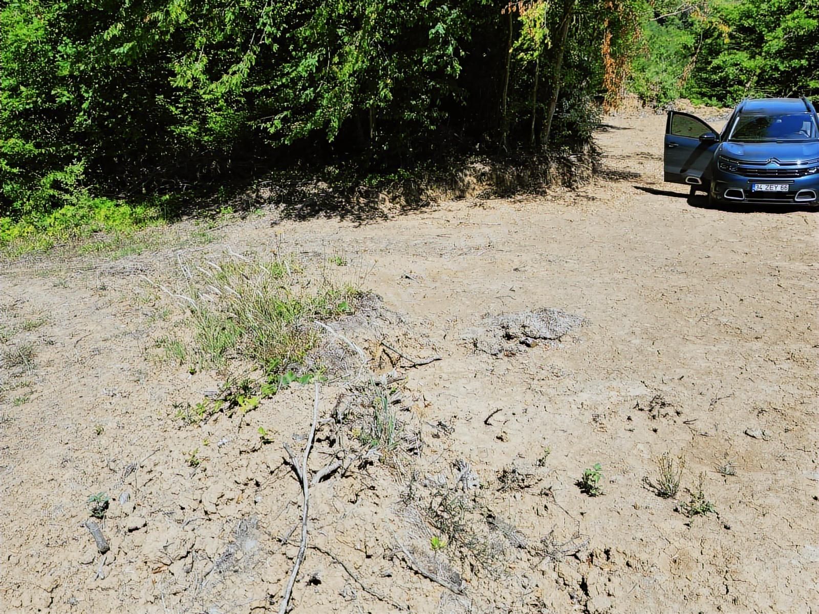 İnnova'dan Kocaeli Topluca'da Satılık Fındık Bahçesi - Görsel 5