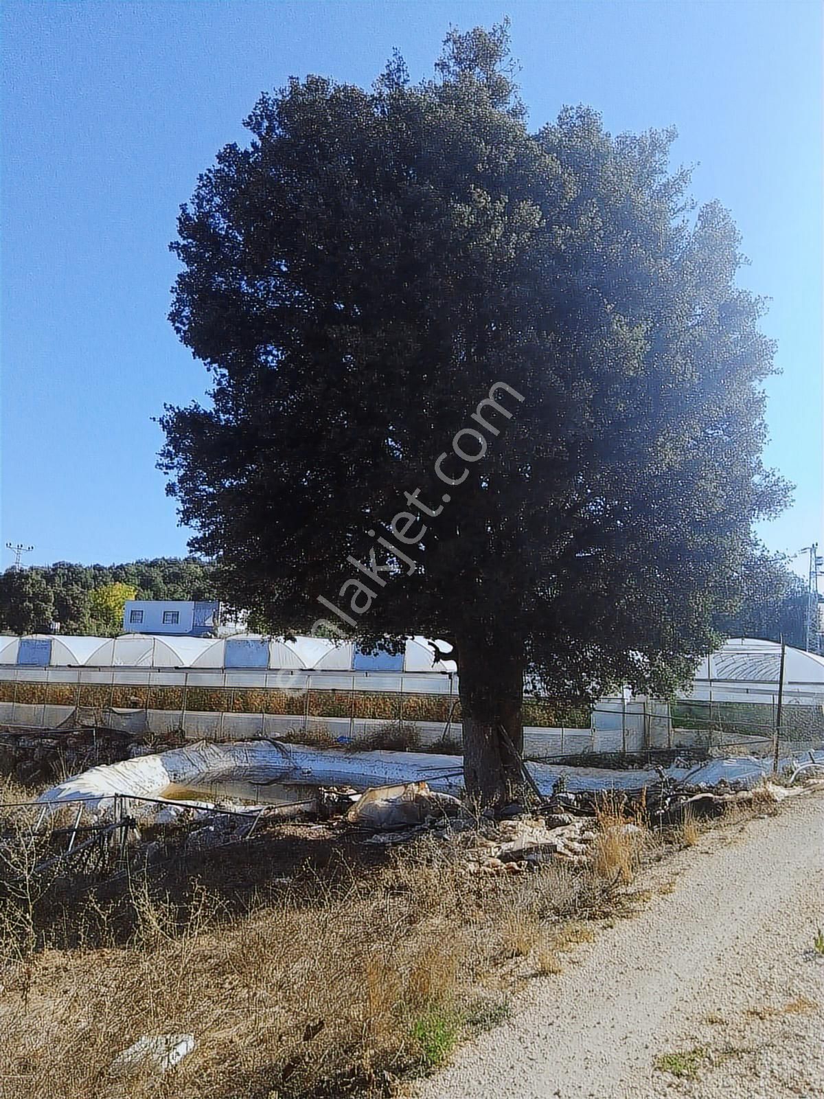 Erdemli Küstüllüde 3278 M² Tarla Yarım Hisse Sondaj Suyu Mevut