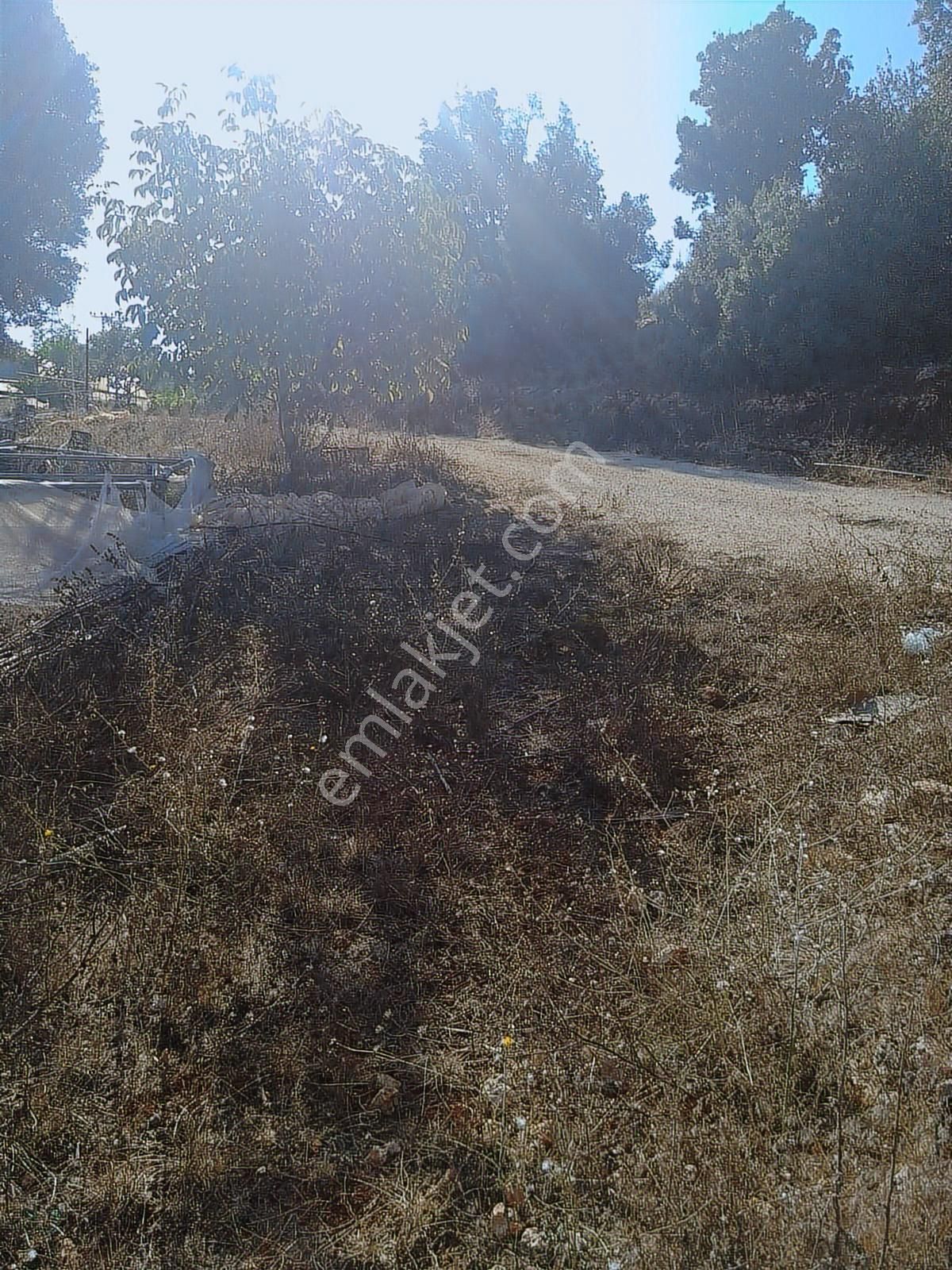 Erdemli Küstüllüde 3278 M² Tarla Yarım Hisse Sondaj Suyu Mevut - Görsel 2