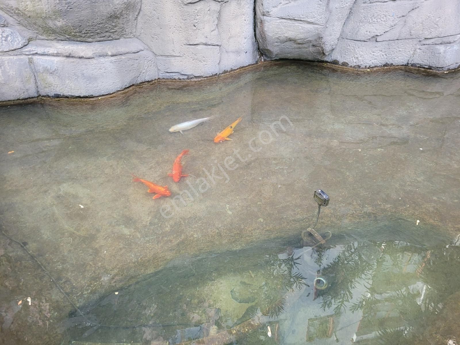 Beka Gm Ataşehir Aşıkveysel Mah.de 60m2 1+1 Kiralık Daire - Görsel 23