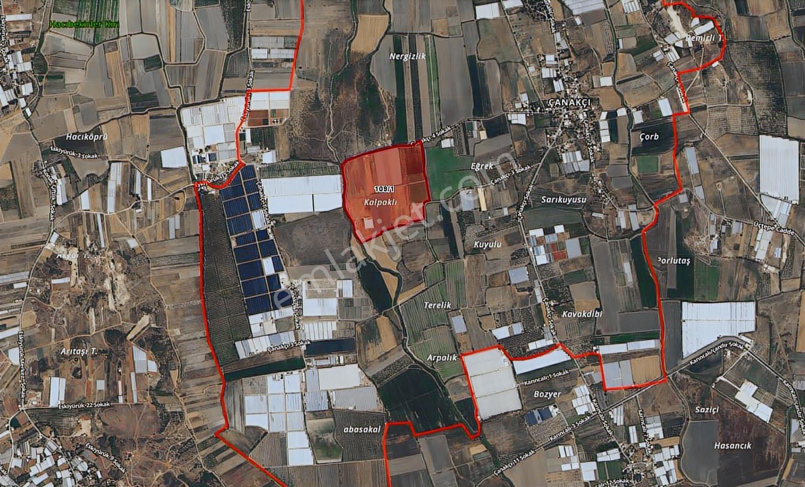 12300 M2 Satılık Tarla | Verimli Nar Bahçesi - Görsel 7