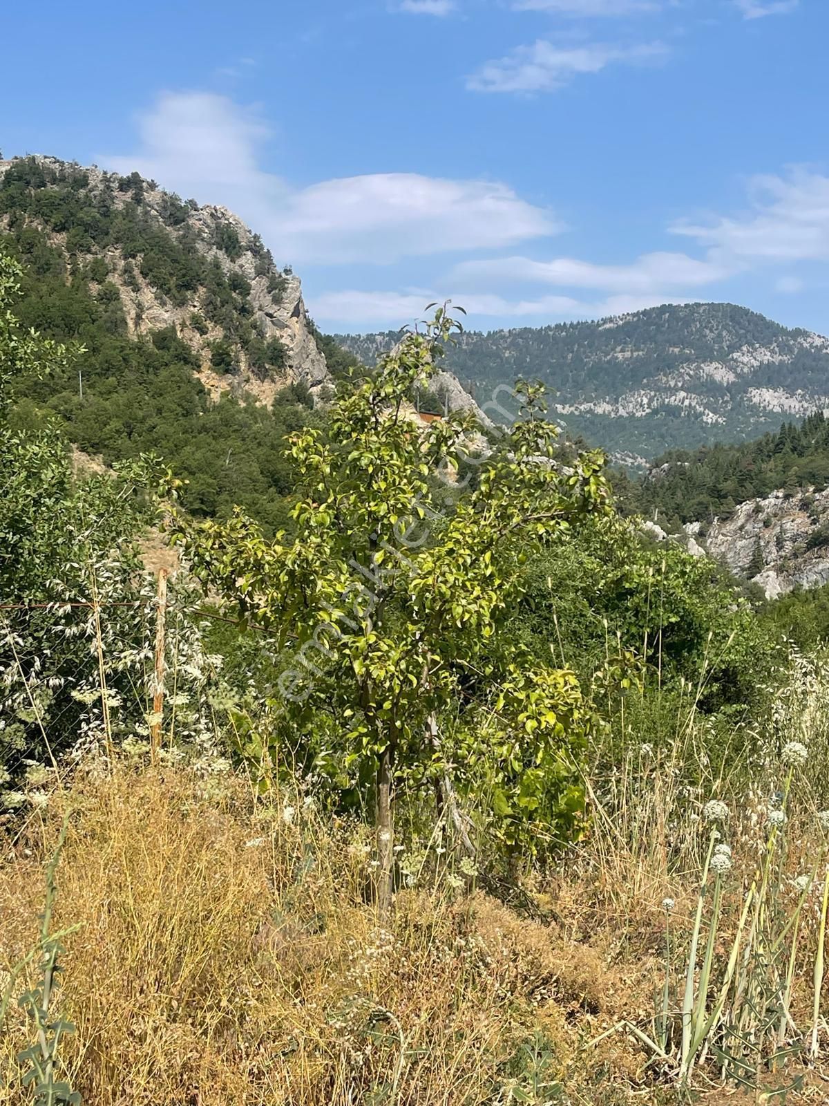 Alanya Karapınar Mevki Büyük Pınar Yaylasında Satılık 3.900 M2 Tarla - Görsel 10