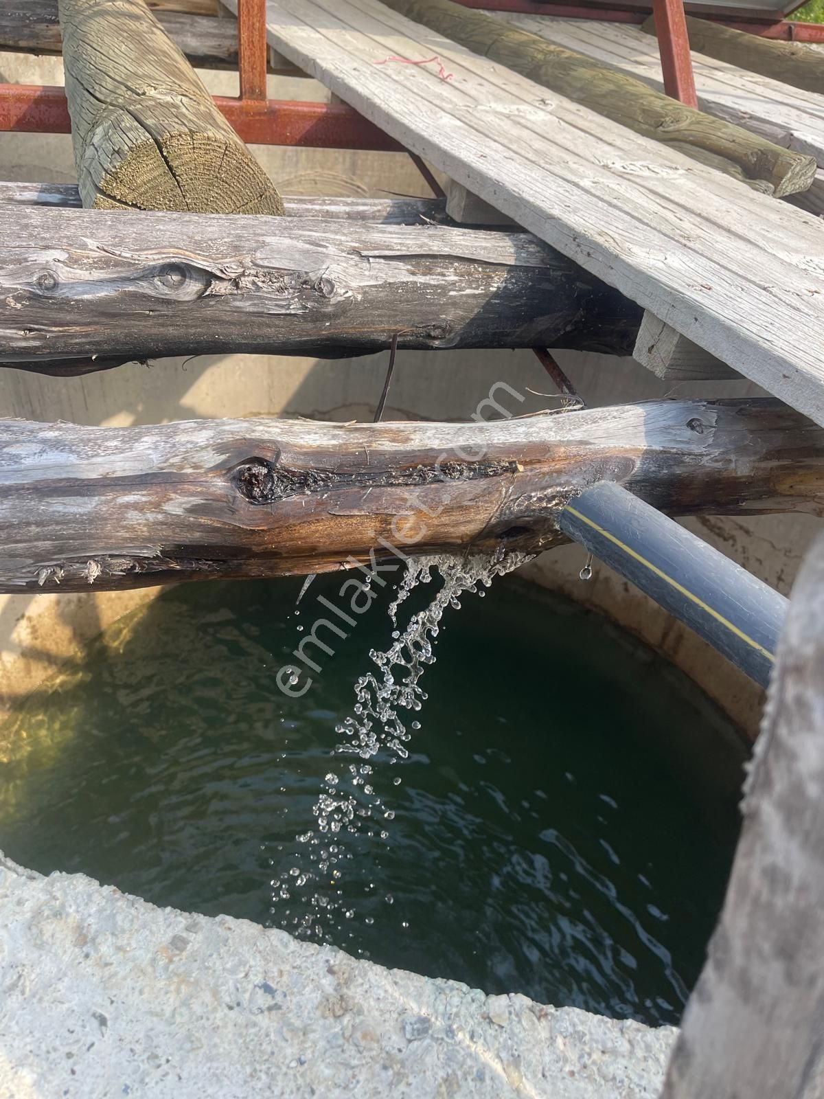 Alanya Karapınar Mevki Büyük Pınar Yaylasında Satılık 3.900 M2 Tarla - Görsel 12