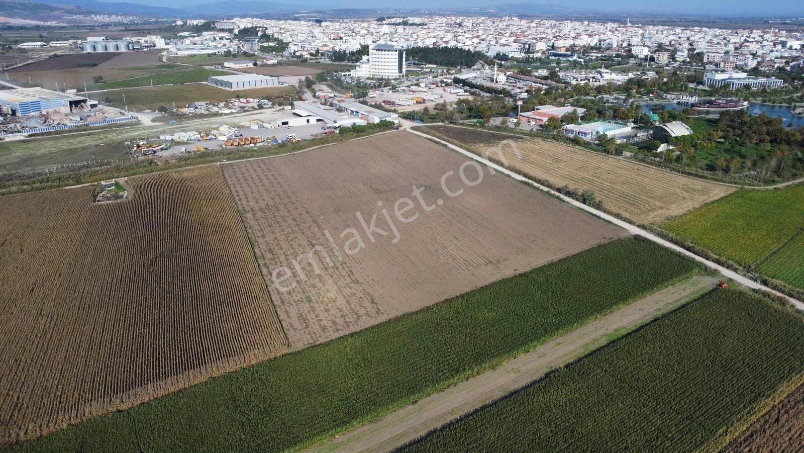 Karacabey Canbalıda Yüksek Potansiyelli Yatırımlık Tarla