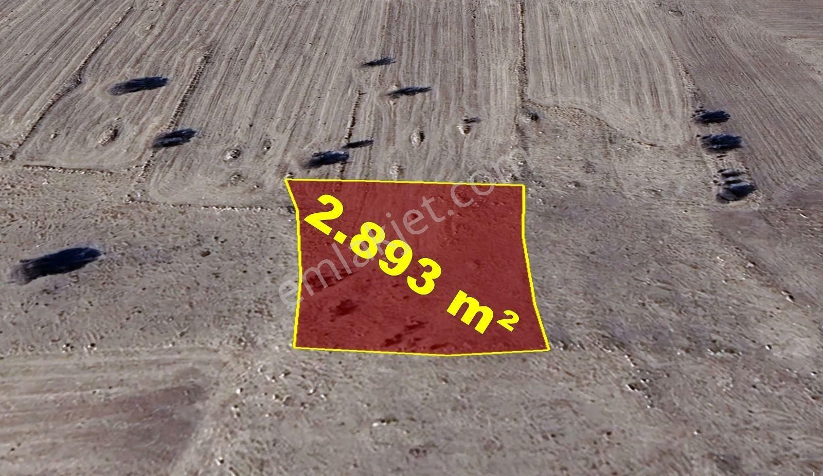 Konya / Akören / Tülce Mahallesinde 2.893 M² Müstakil Tapulu Tarla - Görsel 5