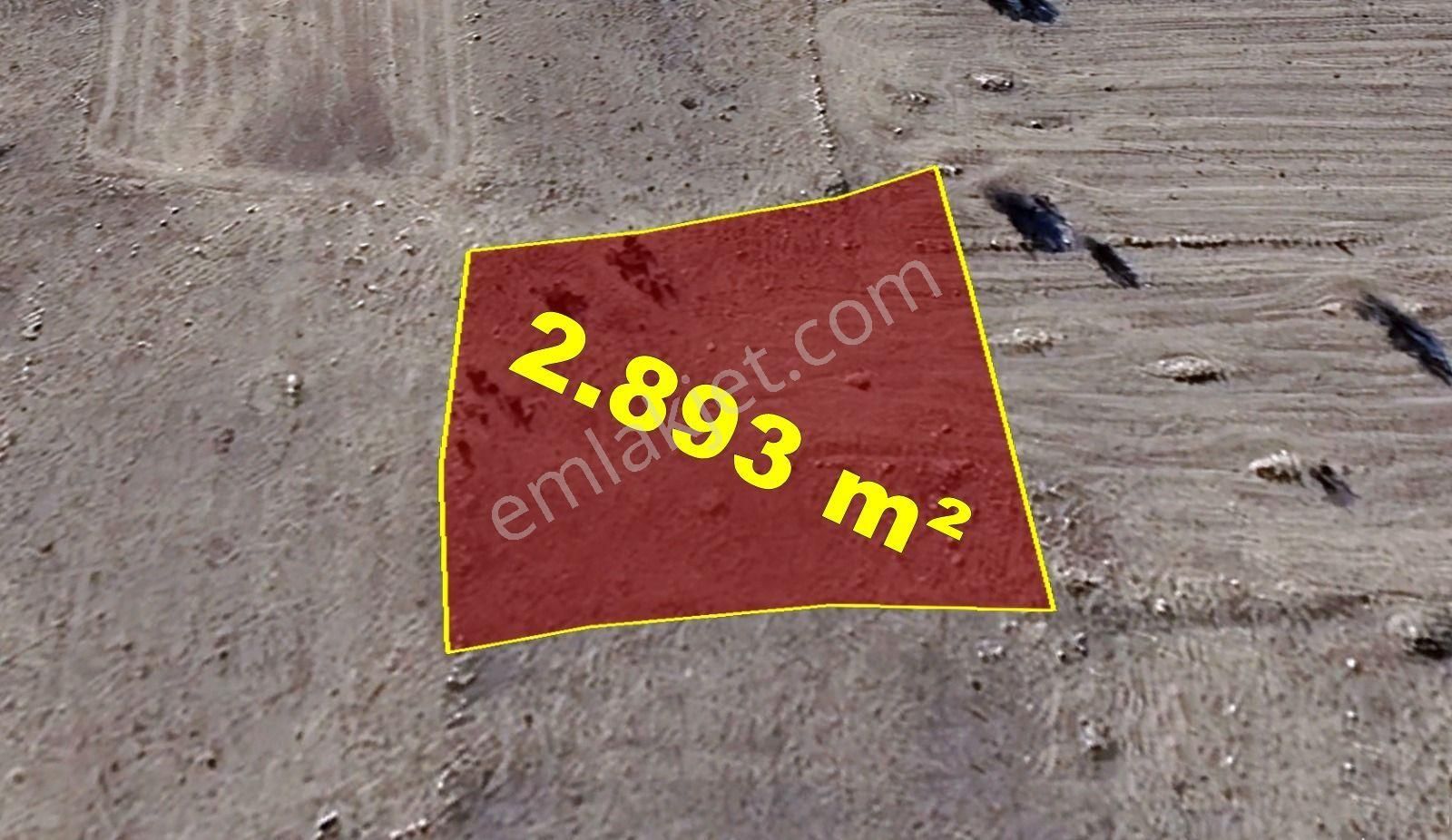 Konya / Akören / Tülce Mahallesinde 2.893 M² Müstakil Tapulu Tarla - Görsel 8