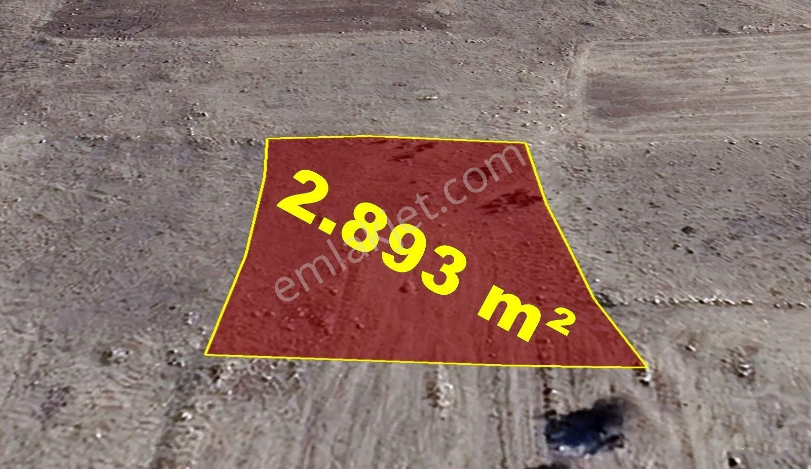 Konya / Akören / Tülce Mahallesinde 2.893 M² Müstakil Tapulu Tarla - Görsel 10