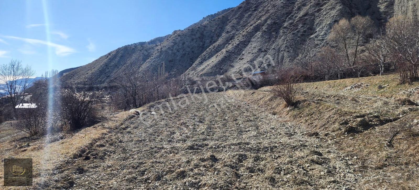 Lüx Erzurum'dan Tortum-oltu Yolunda Mükemmel Konumda Tarla - Görsel 11