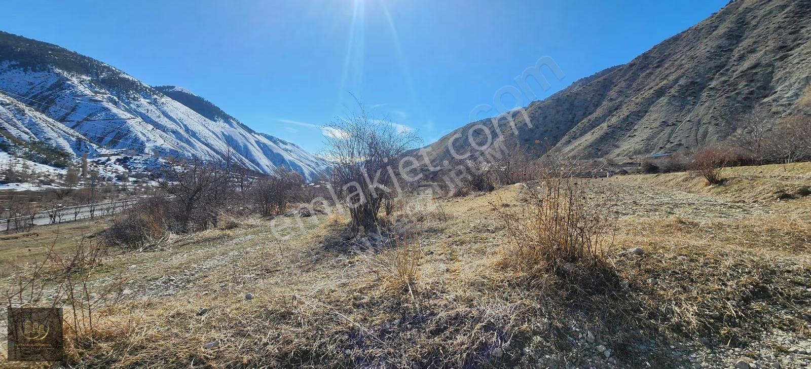 Lüx Erzurum'dan Tortum-oltu Yolunda Mükemmel Konumda Tarla - Görsel 2