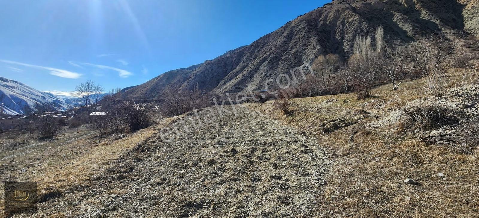 Lüx Erzurum'dan Tortum-oltu Yolunda Mükemmel Konumda Tarla - Görsel 3