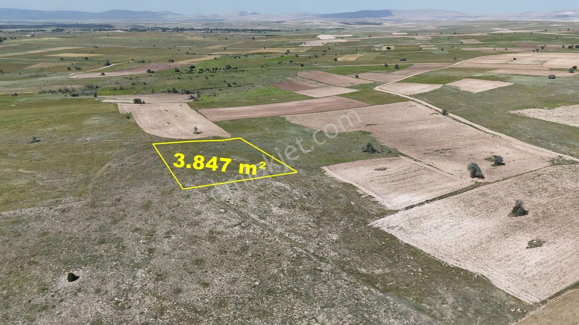 Konya / Akören / Tülce Mahallesinde 3.847 M² Müstakil Tapulu Tarla - Görsel 4