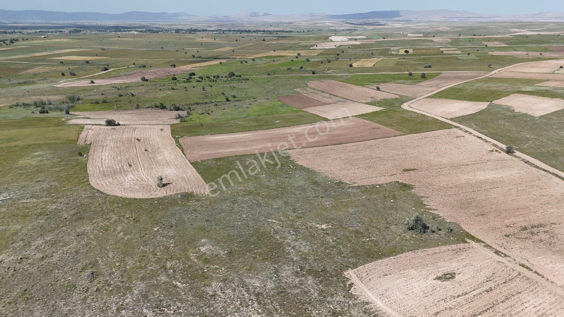 Konya / Akören / Tülce Mahallesinde 3.847 M² Müstakil Tapulu Tarla - Görsel 8