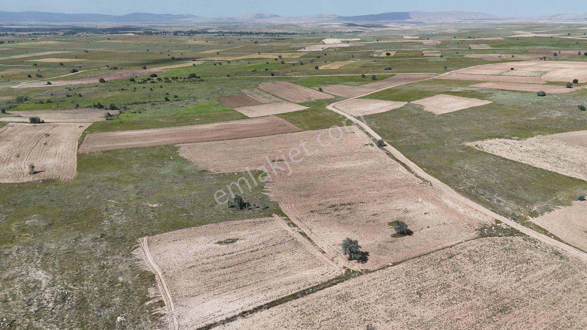 Konya / Akören / Tülce Mahallesinde 3.847 M² Müstakil Tapulu Tarla - Görsel 5